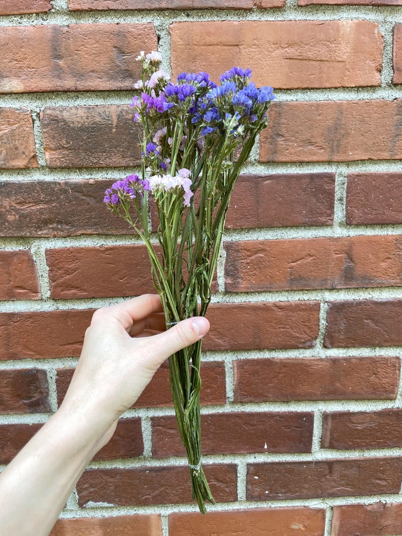 Puede incluir: Un ramo de flores secas en tonos de morado y blanco. Las flores est&aacute;n atadas con una cinta verde y se sostienen en una mano.