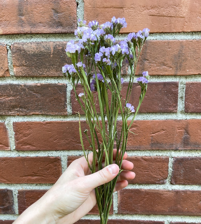 Puede incluir: Un ramo de flores de statice secas en tonos de morado y lavanda. Las flores est&aacute;n dispuestas en una mano que las sostiene contra un fondo de pared de ladrillo.