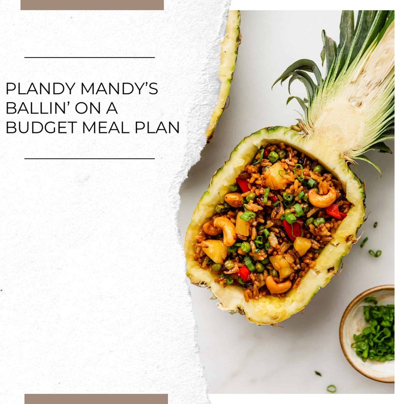 Plandy Mandy's Ballin' on a Budget Meal Plan May image 1