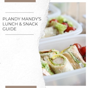 Plandy Mandy's Lunch & Snack Guide