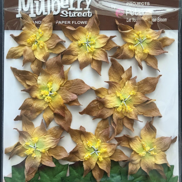 Gold Wild Poinsettias Flowers by Petaloo