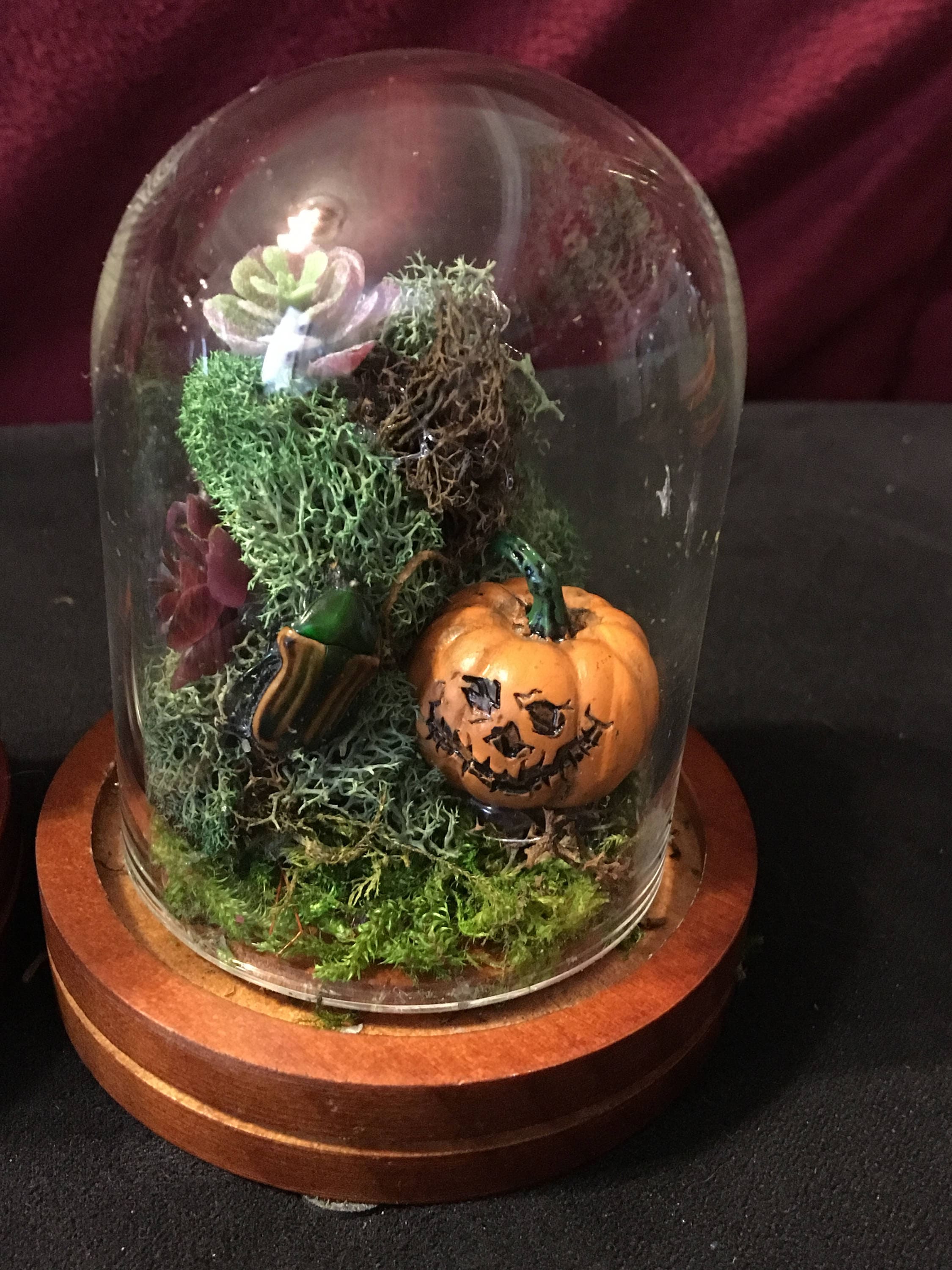 2in Tall Mini Horror Terrariums Etsy