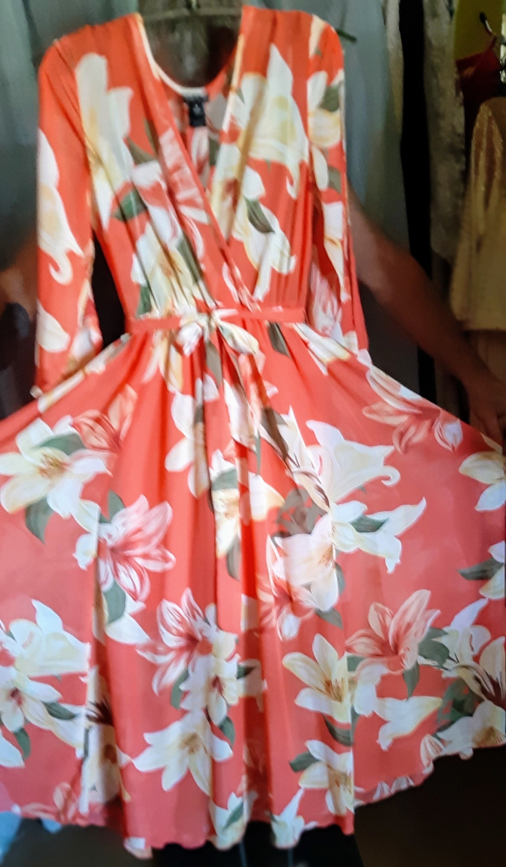 Sheer Orange Kate & Lily Long Sleeved, Full Length Dress