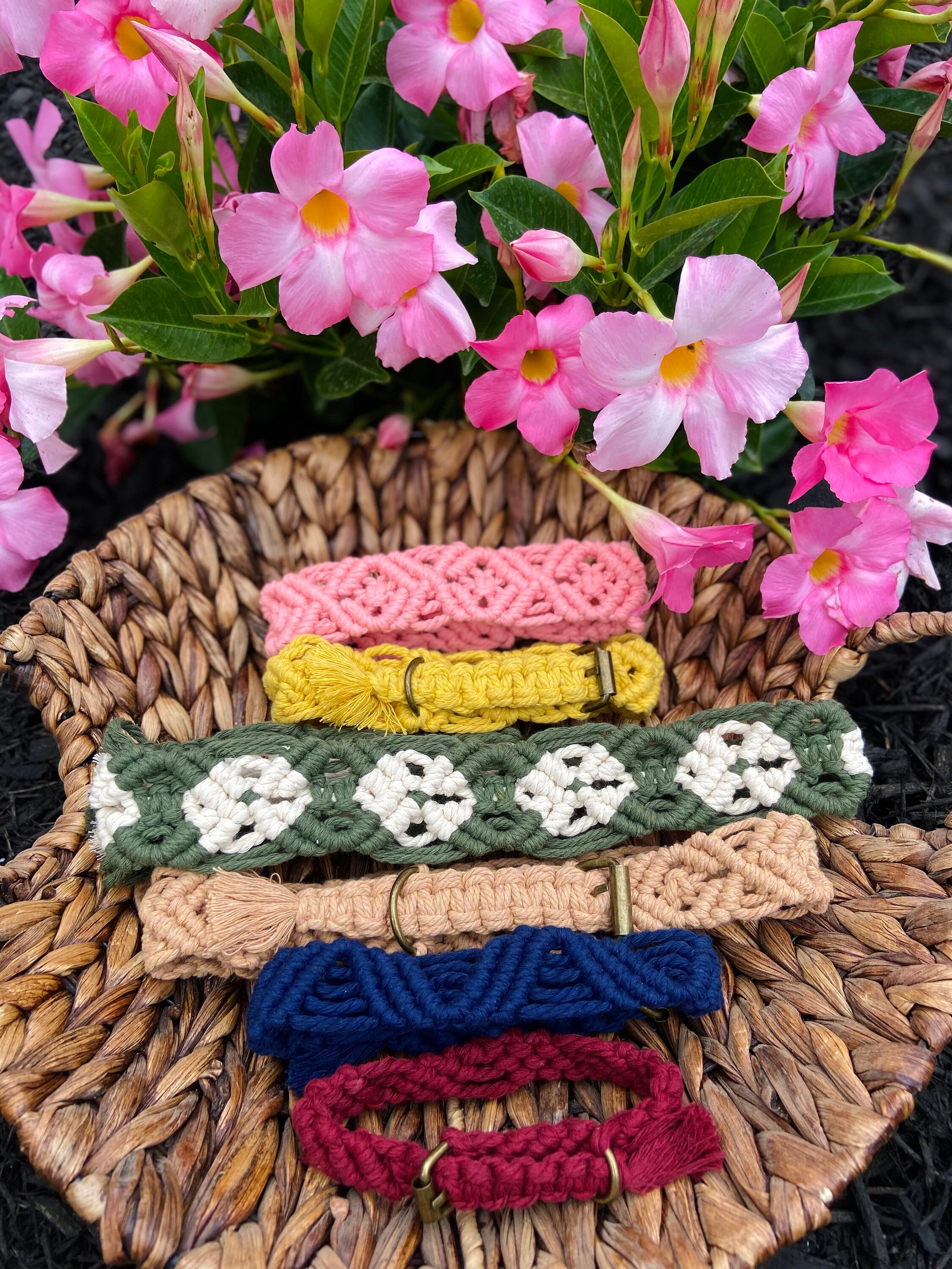 Adjustable Macrame Dog Collar Etsy