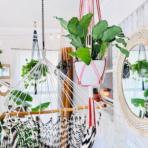 The Candy Collection - Macrame Plant Hanger - Custom Handmade Plant Holder - Sunroom - Interior Plant Decor