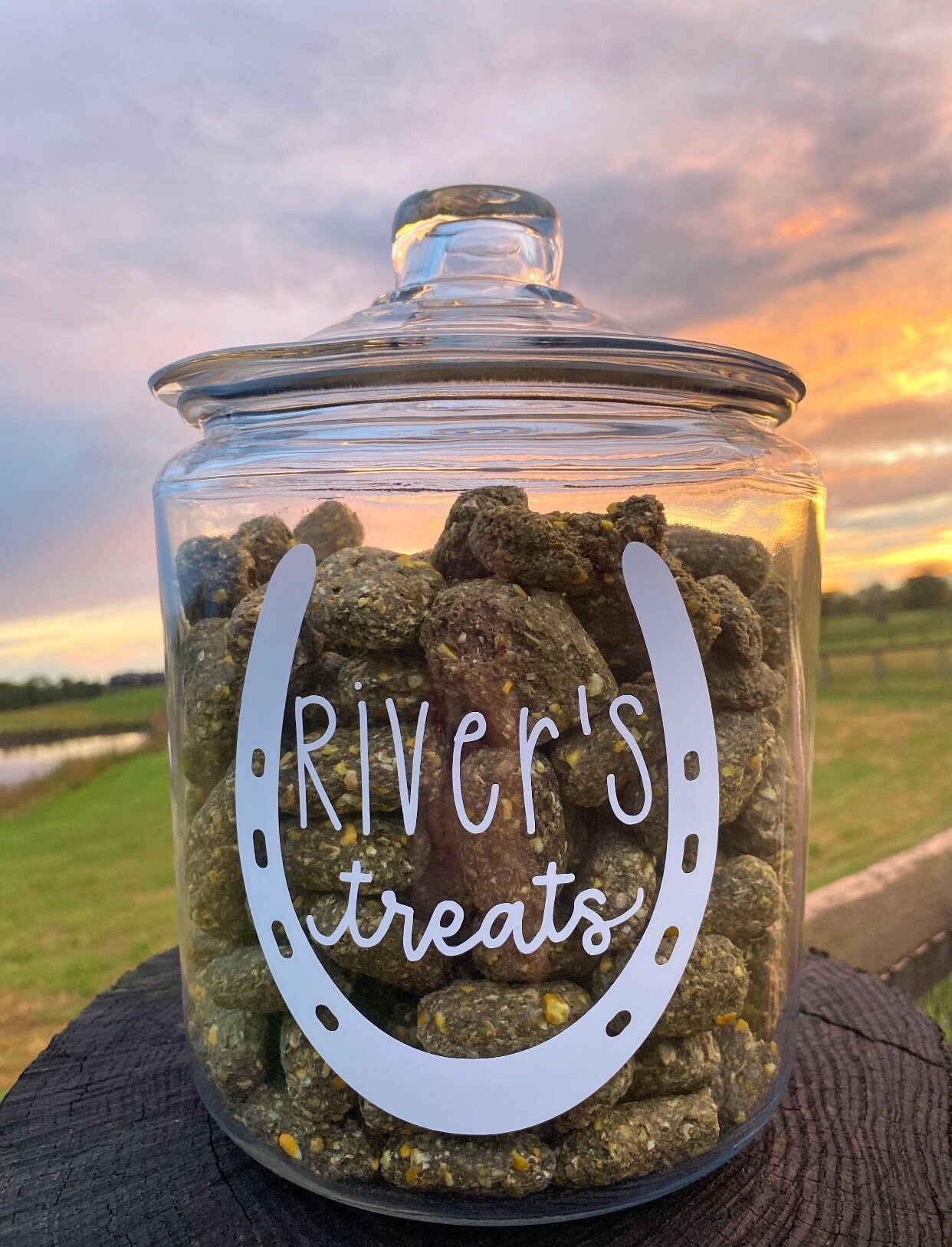 Personalized Horse Treat Decal Horse Treat Jar Etsy