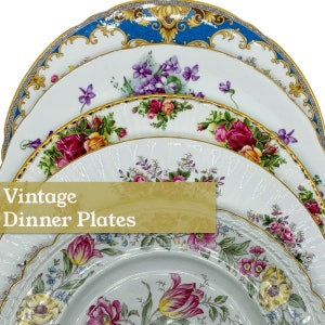 Pratos de jantar vintage de porcelana fina | Pratos de porcelana e porcelana óssea | 9 a 11 polegadas