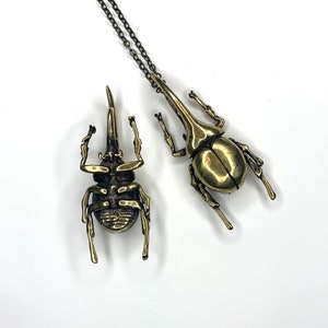 Curiosity Atlas Beetle Brass Pendant