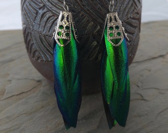 Jewel beetle wing earrings