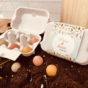 Regalo per gli ospiti nascita battesimo comunione - natura - confezione regalo bombe di semi - ecologico - souvenir grazie bambino bambino