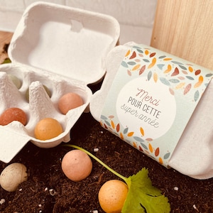 Teacher gift - Flower seed bombs to plant - Thank you for this great year - egg box - teacher gift idea, astem, instit