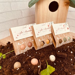 Regalo per gli invitati al matrimonio - naturale ed ecologico - confezione regalo di bombe di semi biologici, fiori selvatici - souvenir di ringraziamento per il matrimonio