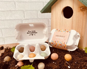 Verzoek om sponsor - Geschenkdoos voor aankondiging van zwangerschap van baby - aankondiging van zwangerschap - verzoek voor meter - aankondiging van zwangerschap - zaadbommen