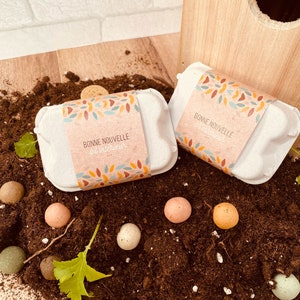 Grandparent pregnancy announcement - Mini egg box pregnancy announcement with organic seed bombs - Godmother request - godfather - green nature