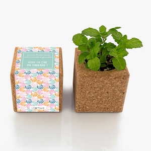Demande marraine - Cube en liège aimanté à planter - annonce grossesse avec chaussette bébé - pregnancy announcement - durable et écologique