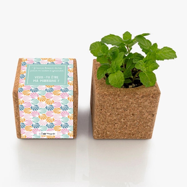 Demande marraine - Cube en liège aimanté à planter - annonce grossesse avec chaussette bébé - pregnancy announcement - durable et écologique