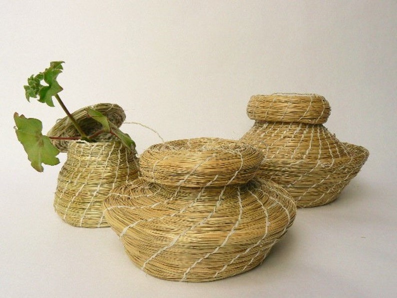 Grass Reed Rush Basket SetNatural Gift Box Three Woven Etsy