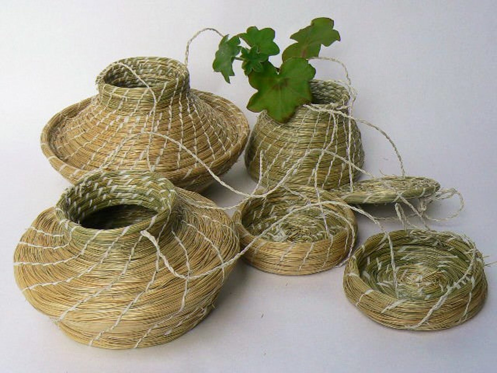 Grass Reed Rush Basket SetNatural Gift Box Three Woven Etsy