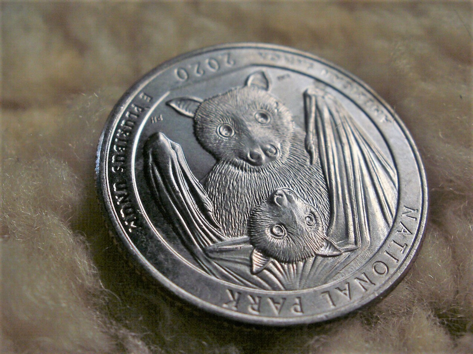 Bat Quarter Coin 2020 National Park of American Samoa Mama Bat Etsy
