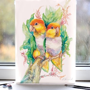 Caique Parrots Print - A3/A4/A5 sizes