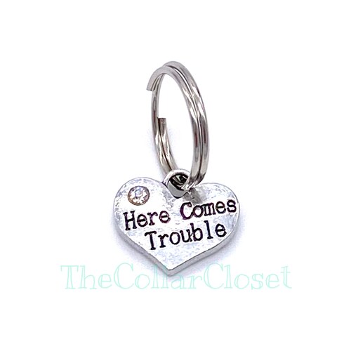 Best Friend Dog Collar Charm Accessory Etsy