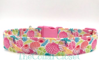 puka shell dog collar