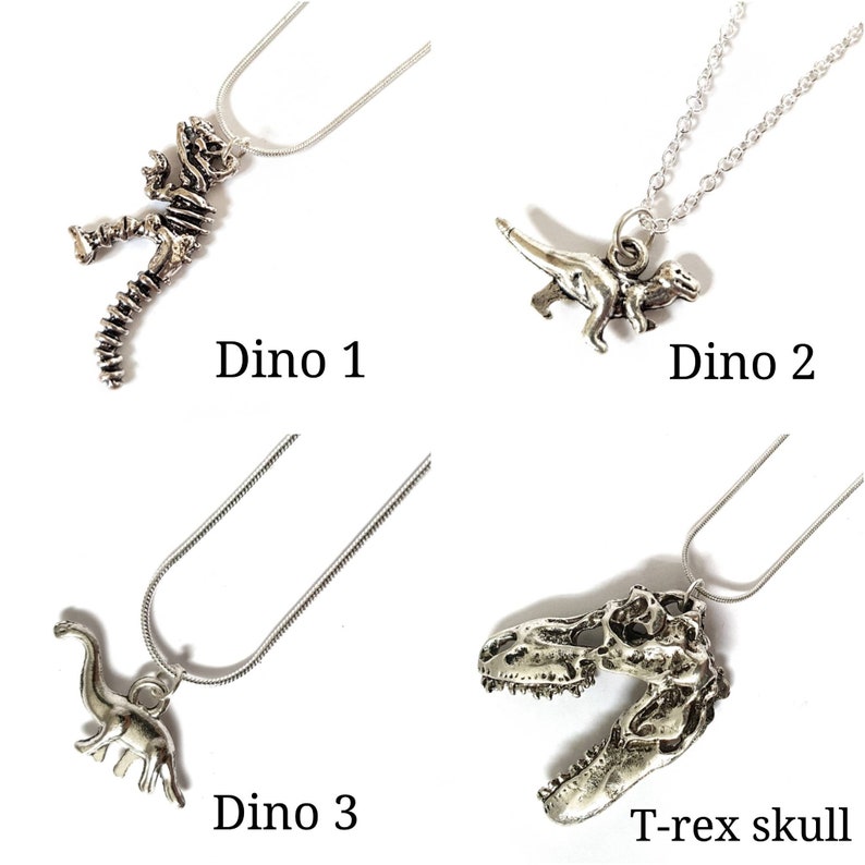 Silver science nature necklaces anatomy morbid jewellery insects chemistry biology dinosaurs serotonin bones pendant Big bang theory image 5