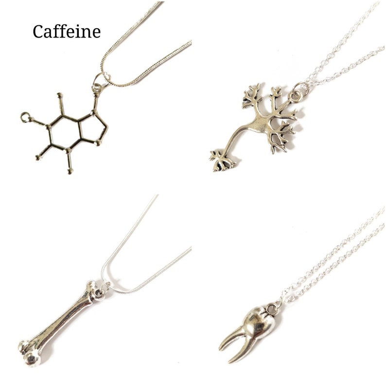 Silver science nature necklaces anatomy morbid jewellery insects chemistry biology dinosaurs serotonin bones pendant Big bang theory image 3