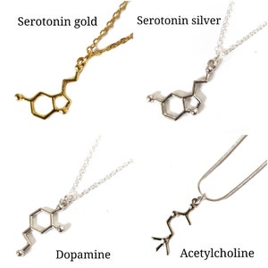 Silver science nature necklaces anatomy morbid jewellery insects chemistry biology dinosaurs serotonin bones pendant Big bang theory image 2