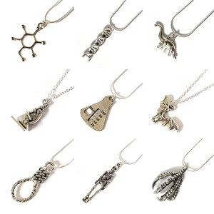 Silver science nature necklaces anatomy morbid jewellery insects chemistry biology dinosaurs serotonin bones pendant Big bang theory image 1