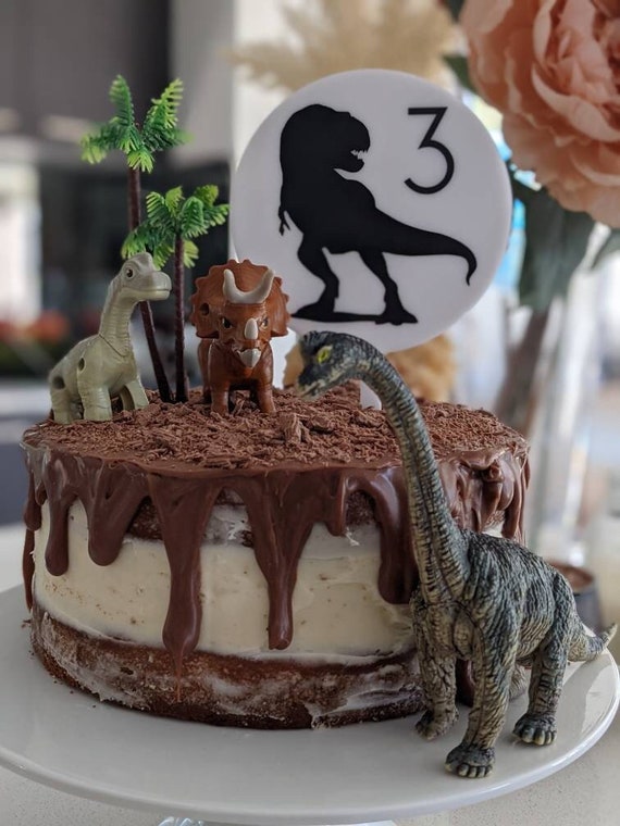 Dinosaur Cake Topper, Acrylic Topper with Dinosaur Image and Any Age