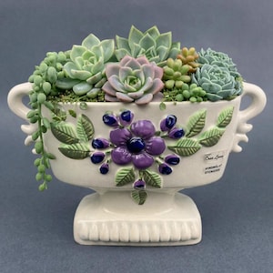 Puede incluir: Una jardinera de cerámica color crema con un diseño floral en relieve en morado y azul, llena de varias suculentas. La jardinera tiene asas y una base de pedestal. El texto "Rose Ljung" y "Handmalat Stengods" es visible.