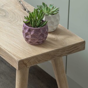 May include: Two potted succulents on a light wood table with a natural wood grain. The succulents are in geometric pots, one purple and one white.