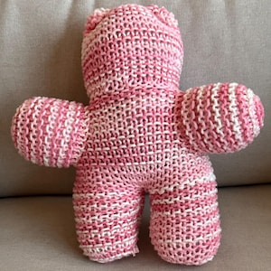 Pink and White Teddy Bear