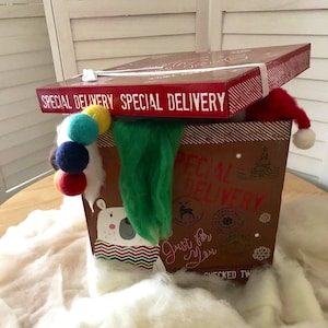 Christmas Mystery Box  Wool felted Mystery Gifts  Santa Mystery Box