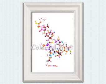 Oxytocin Molekül Kunstdruck: Chemie Dekor, Geschenk für Wissenschaftler