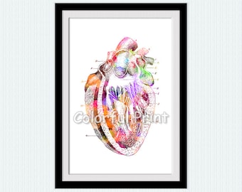 Human heart poster Heart anatomy print Heart watercolor Medical clinic decor Anatomical wall art Doctors office decor Medical art print W193