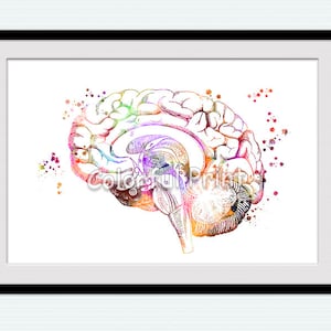 Human brain print Anatomical poster Clinic wall decor Medical print Typography art Scientific poster Medical decor Dorm wall decoration W182