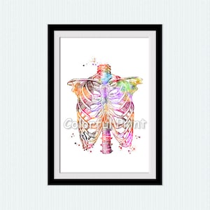 Anatomical poster Human ribs print Clinic wall decor Medical print Scientific poster Medical decor Typography art Doctors office decor W183