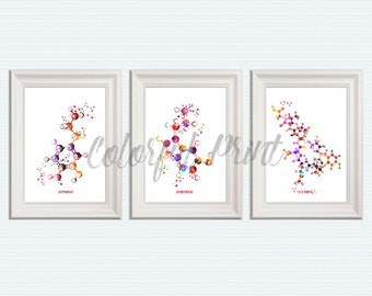 May include: Three framed prints of colorful molecular structures, each with a different chemical name: Dopamine, Serotonin, and Oxytocin.