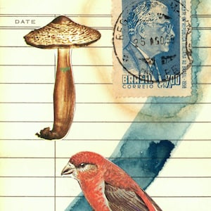 Collage de tarjetas con fecha de vencimiento de la biblioteca - Padre, Hijo y Espíritu Santo - Serie Eterno Retorno - Impresión montada
