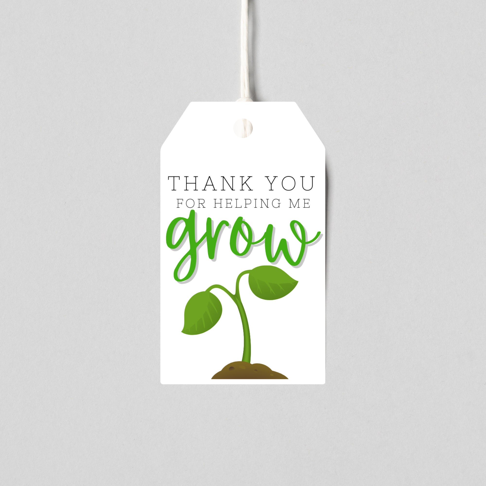 Daycare Provider Appreciation Tags Teacher Thank You Tags Printable daycare-provider-appreciation-tags-teacher-thank-you-tags-printable