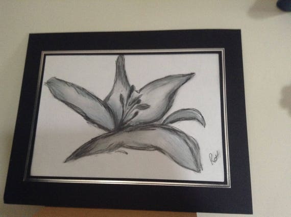 Węgiel Softpastel Lilia Kwiat Rysunek Szkic A4