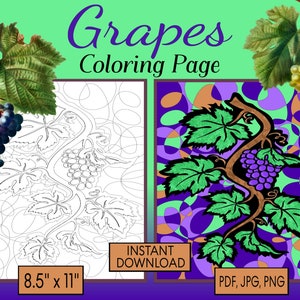 GRAPES Coloring Page, pdf jpg png, GRAPEVINE SWIRLS, 8.5&quot; x 11&quot;, digital, printable