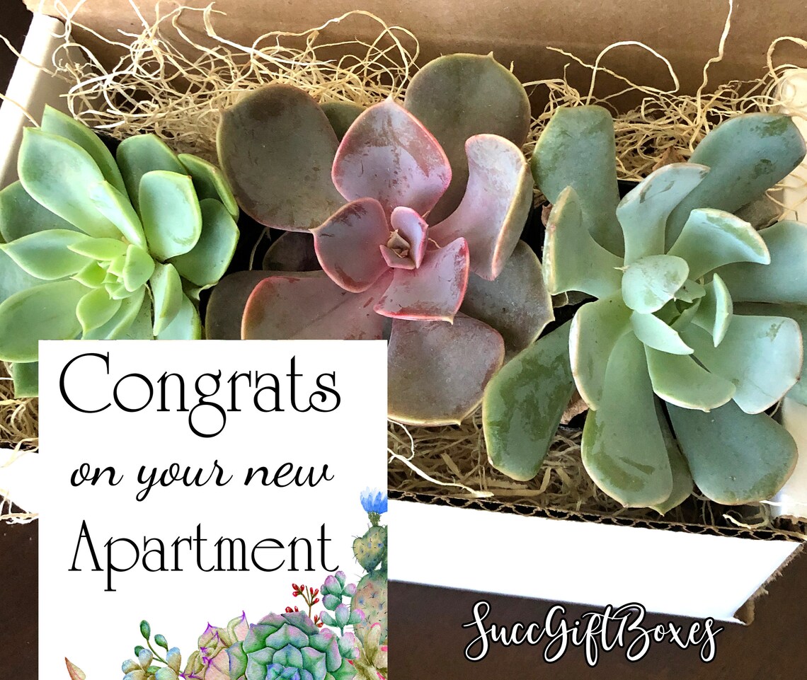 Congrats on your new apartment home gift apartment Etsy