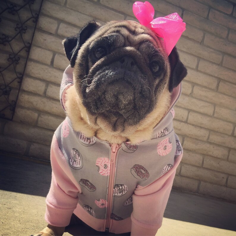 Hoodie *Donut Forget The Treats*
