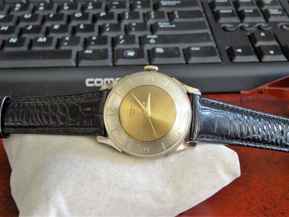 timex 100