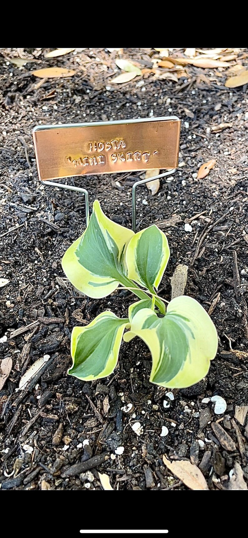 Custom Copper Plant Tags Hand-Stamped Metal Plant Labels Garden Stakes Herb Stakes Herb Labels Herb Markers Copper Garden Tags Label image 2