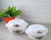 Set van 2 Ovenschalen met deksel Arcopal Fruit de France vintage