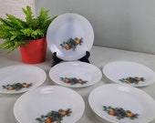 Zeldzame set van 6 Arcopal Dessertbordjes 19 cm Fruits de France vintage.